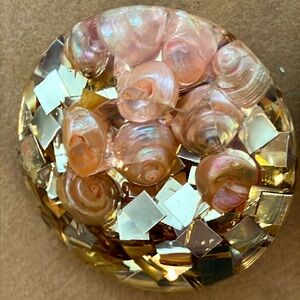 Lucite seashell confetti earrings